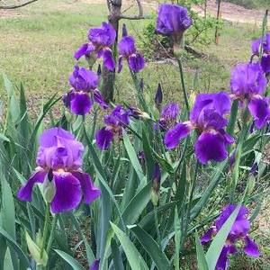 Meet your Posher, Colleen